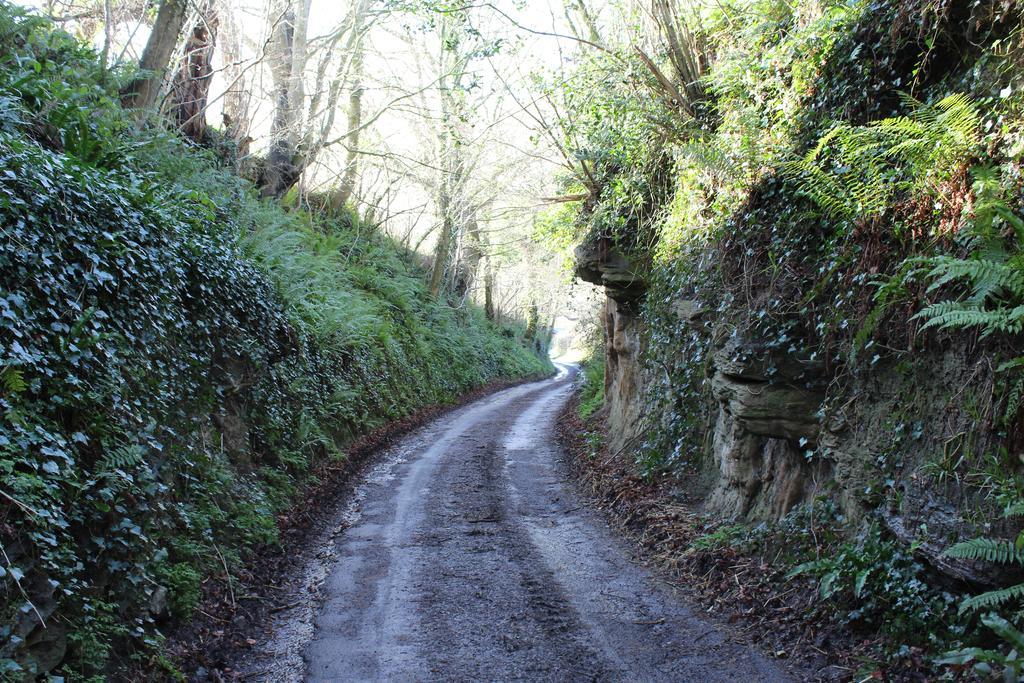 Cherrybrook Glastonbury Ngoại thất bức ảnh